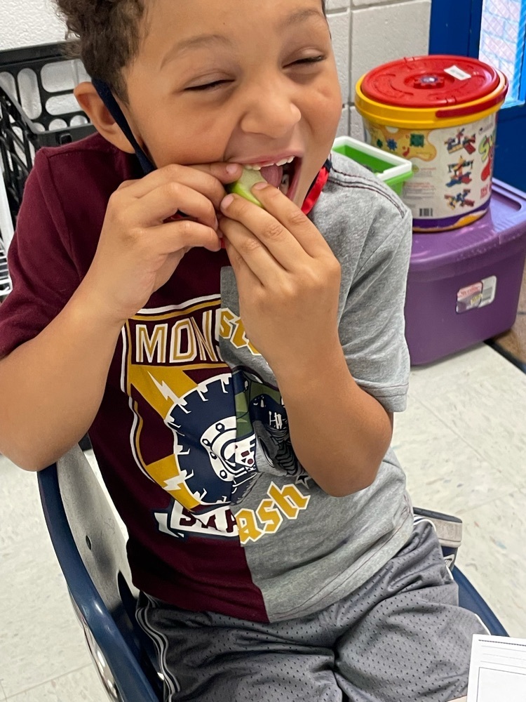 Apple tasting in First Grade