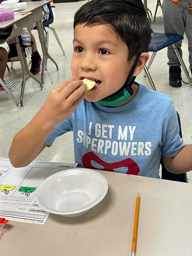 Apple tasting in First Grade