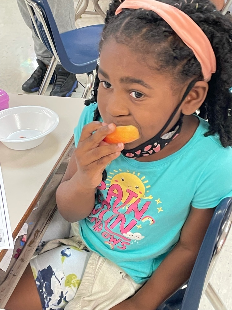 Apple tasting in First Grade